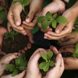 Gestión Medioambiental